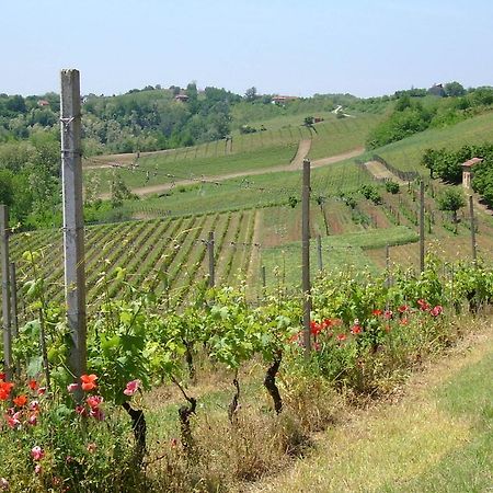 Вілла Cascina Rollone Rocchetta Tanaro Екстер'єр фото