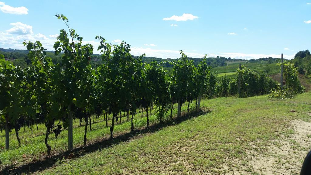 Вілла Cascina Rollone Rocchetta Tanaro Екстер'єр фото